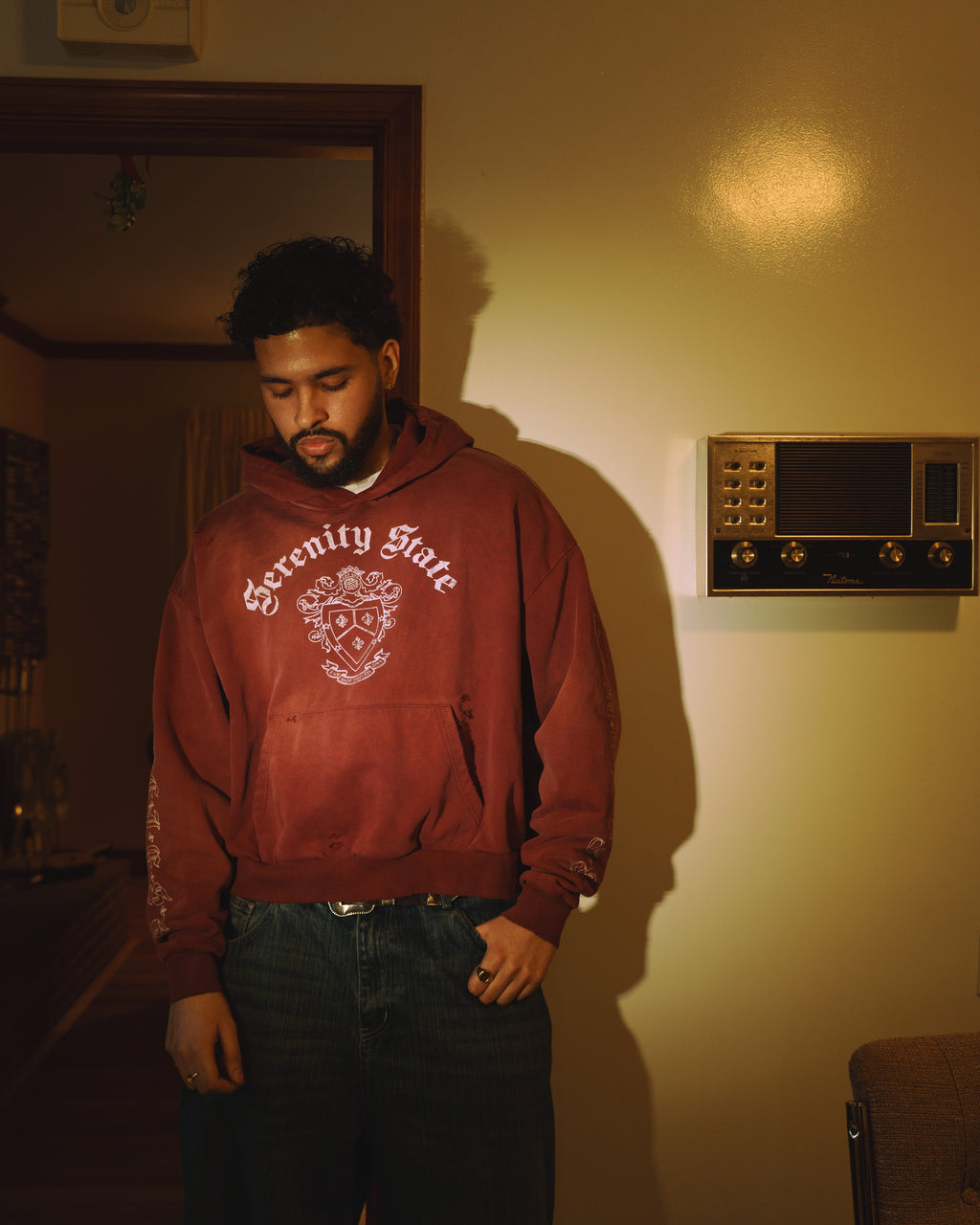 Serenity State Hoodie (Wine Red)